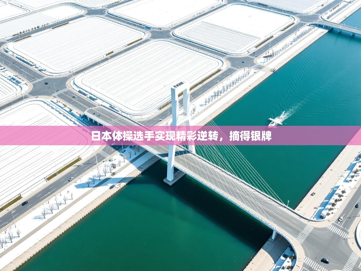 日本体操选手实现精彩逆转，摘得银牌  第1张